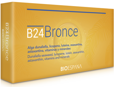 B24-Bronce